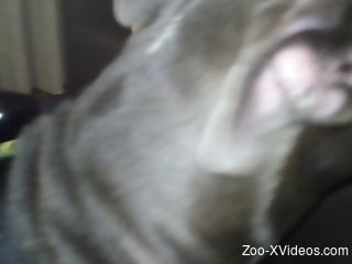 Pantyhose babe getting her pussy licked from behind