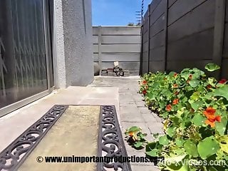 Black beauty wants to turn into a dog... for real