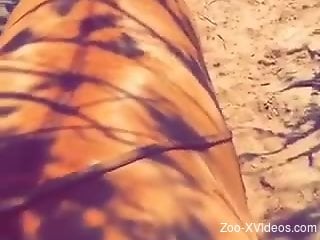 Brown mare getting plowed by a well hung zoophile