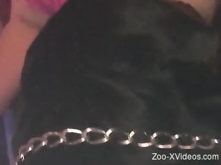 Steamy moments when the dog begins licking her succulent cunt